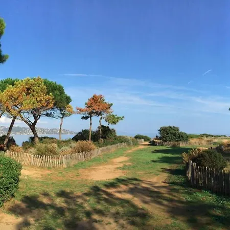 Sainte-maxime, 2 Pieces Avec Piscine, Terrasse, Parking Prive, Proche Et Commerces - Fr-1-226-487 *